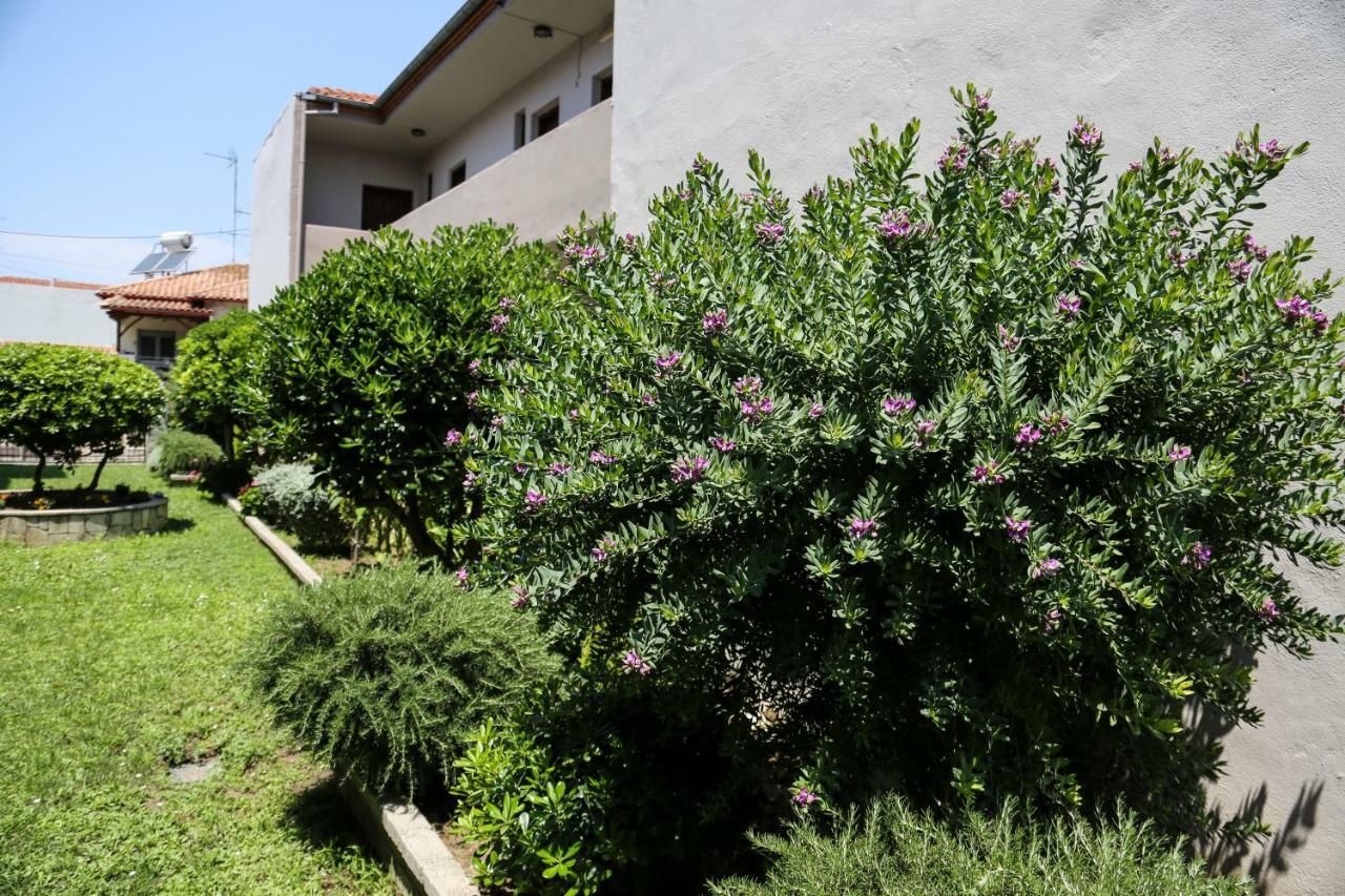 Yannis Apartments Afytos Eksteriør bilde